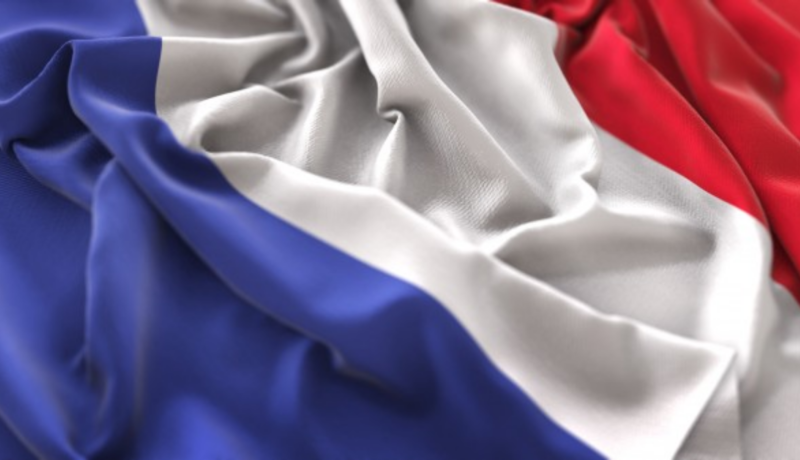 Foto articoli GERI - bandiera francese